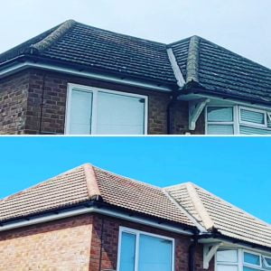 Roof cleaning Quote