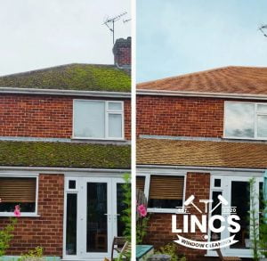 Moss removal Lincoln
